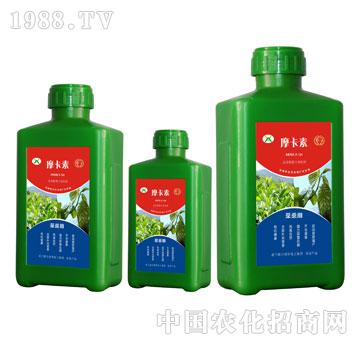 ��ɣ���ð���������Һ��