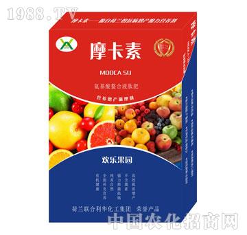 �g�����@����������Һ��