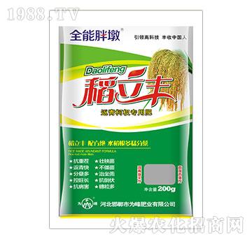 �����S-�����辌��÷�