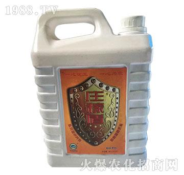 �f�ڶ�-һ�Ļ���