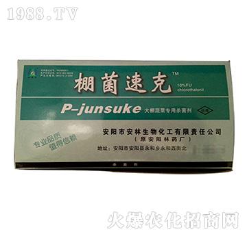 �����߲ˌ��Ú�����-����ٿ�-����