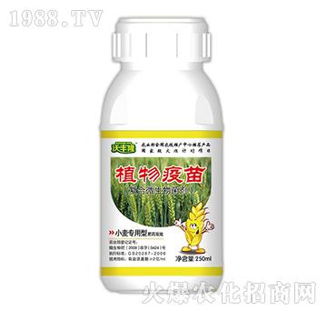 植物疫苗（小麥專用型）-沃豐隆-德強(qiáng)