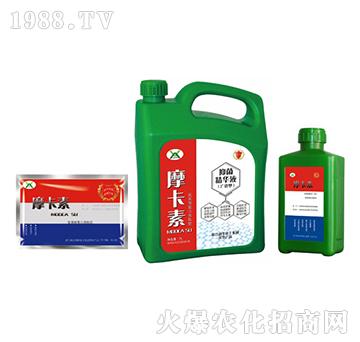 �V�V���־����AҺ���M��