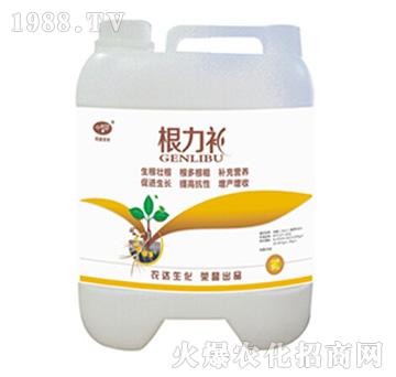 �����a-�r(n��ng)�_����