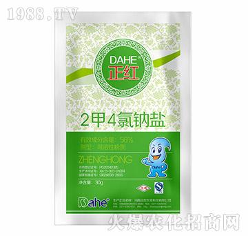 2��4���c�}-���t-�h