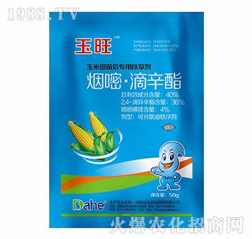 40%���ס�������-��