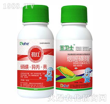 ���t+���l(w��i)ʿ-�hҊ�r(n��ng)�I(y��)