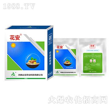 ����-�hҊ�r(n��ng)�I(y��)