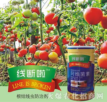 0.5%���S����-����