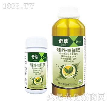 20%�������r��-����-��Ѹ