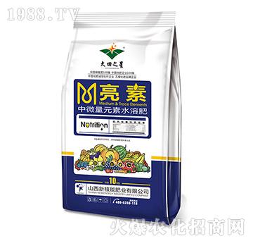 中微量元素水溶肥-亮素-大田之星