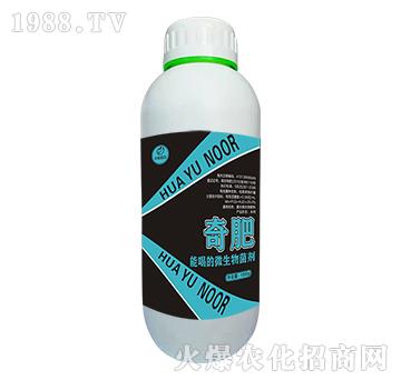 微生物菌劑-奇肥-諾爾