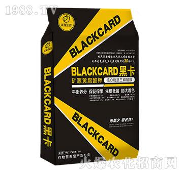 �VԴ�S�����-�ڿ�-�Z��