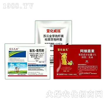 ����ҹ����x�Ě��焩