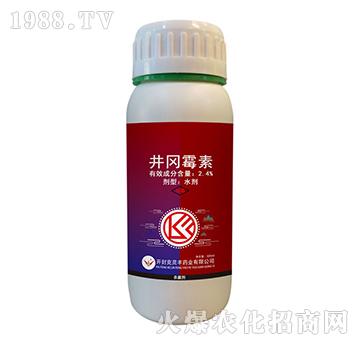 2.4%����ù��-���`