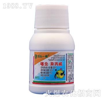 25%���x��������-��