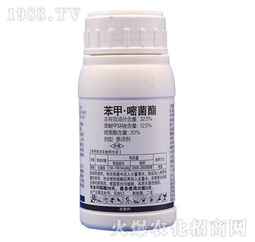 32.5%���ס��׾���