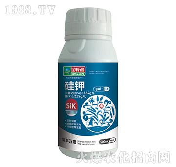 ���-���S�f(w��n)¡