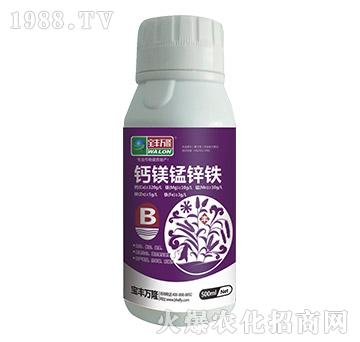 �}�V�i�\�F-���S�f(w��n)¡