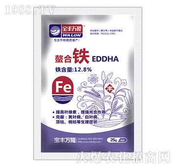 �����F-���S�f(w��n)¡