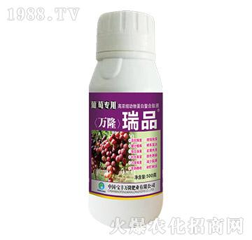 ���ь��øߝ�s��(d��ng)�ﵰ��