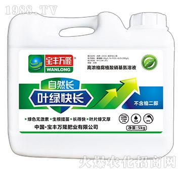 �~�G���L(zh��ng)-��Ȼ�L(zh��ng)-���S