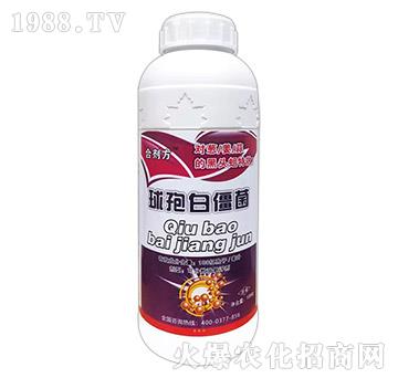 球孢白僵菌-金大地