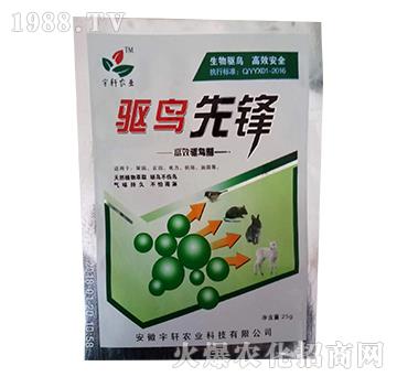 ��B���h-��܎�r�I(y��)