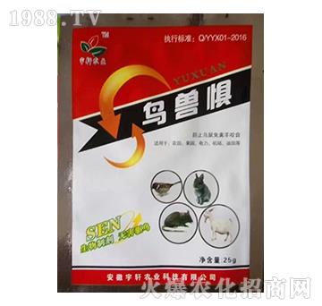 �B�F��-��܎�r�I(y��)