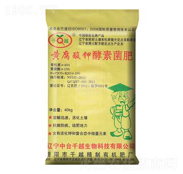 �S����⛽��ؾ���-ǧԽ