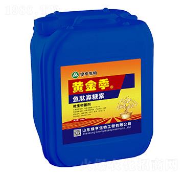 �~(y��)�Ĺ�����-�S��-�G������