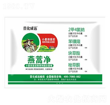 С���������݄��M����