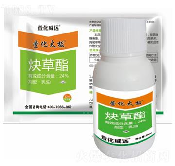 24%Ȳ����-�滯̫�O