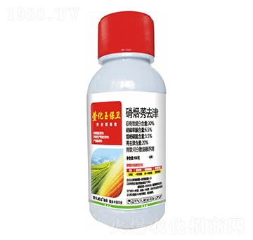 30%������ݬȥ��-��