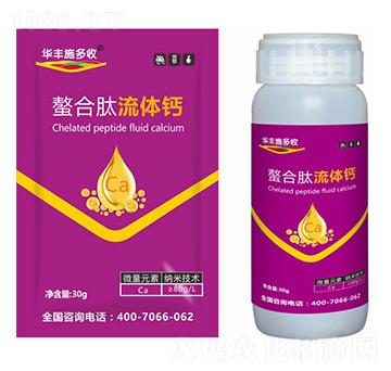 ���������w�}-�A�Sʩ��