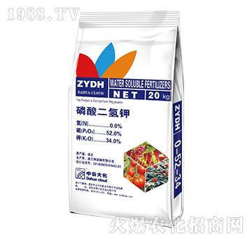 ��������-���ƴ�