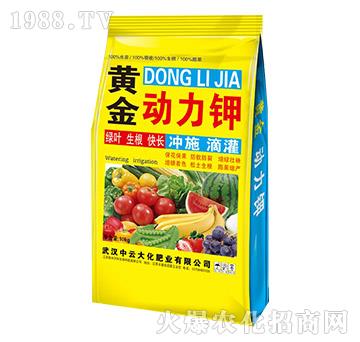 �S����(d��ng)���-���ƴ�