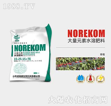 草莓水果類大量元素水溶肥料15-25-15+TE-諾瑞康