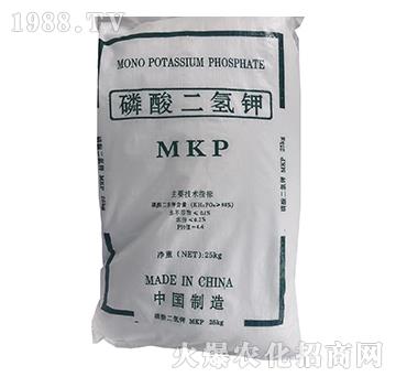 98%��������-���p�Ƽ�