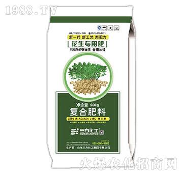 ������(zhu��n)�÷�-��(f��)�Ϸ���1