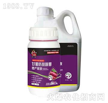 甘薯防裂靚薯原液-薯幫主-升華永樂(lè)