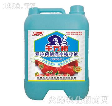 草莓專用強(qiáng)抑菌滴灌沖施母液-豐萬(wàn)稼