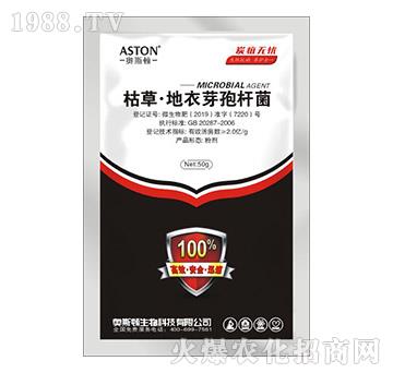 �ݲݡ�����ѿ�ߗU��-̿�ҟo�n-�W˹�D