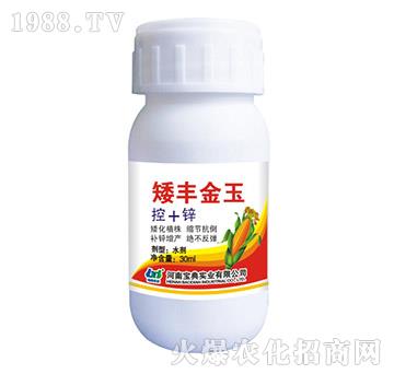 矮豐金玉-寶典實(shí)業(yè)