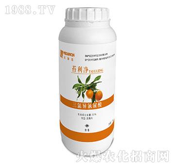 50%���Ȯ�������-̦����-��٤�z