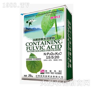 含黃腐酸水溶肥料15-5-20-果果紅（防小葉、黃葉?。?新核能