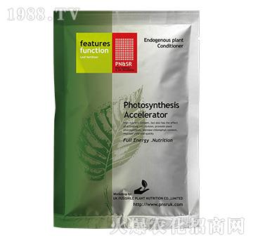 OGC.Mg光合促進劑-陽光綠健