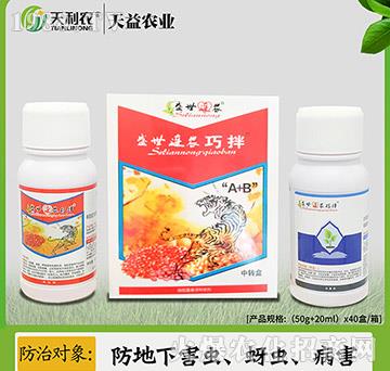 ʢ���B�r(n��ng)�ɰ�A+B-�����r(n��ng)