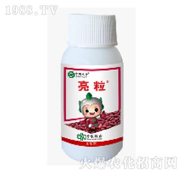 600克每升吡蟲(chóng)啉-亮粒-中農(nóng)聯(lián)合