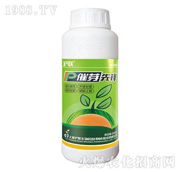 催芽先鋒-滬聯(lián)